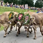 Chnorzli Mit Hallenbad Klosters